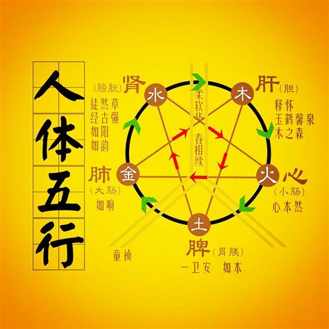 神明五行|五行神